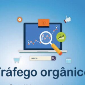 Por que investir em tráfego orgânico pode transformar as estratégias de marketing da sua empresa?